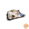 Valorant Agents Peeking Sticker