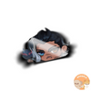 Valorant Agents Peeking Sticker