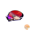 Fighting Game Peeking Stickers